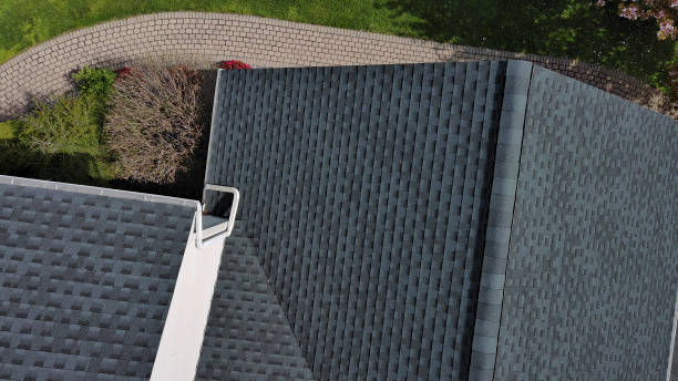 Best Roof Moss and Algae Removal  in White Pigeon, MI